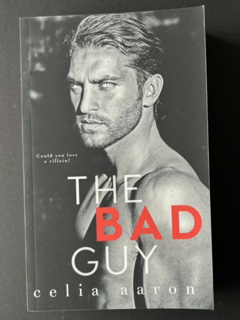 4 for $20 📚 | The Bad Guy by Celia Aaron | SIGNED | Paperback Book